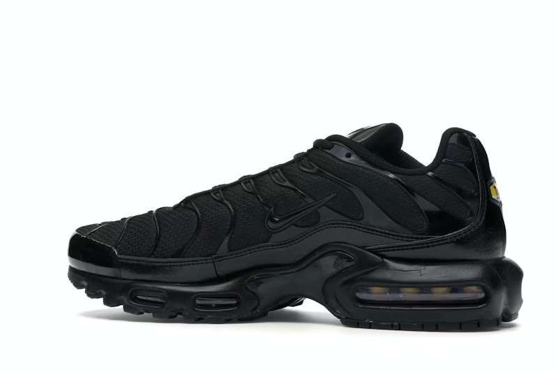 Nike Air Max Plus Triple Black