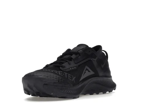 Nike Pegasus Trail 3 Gore-Tex Black Dark Smoke Grey