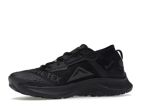 Nike Pegasus Trail 3 Gore-Tex Black Dark Smoke Grey