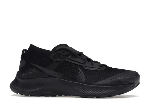 Nike Pegasus Trail 3 Gore-Tex Black Dark Smoke Grey
