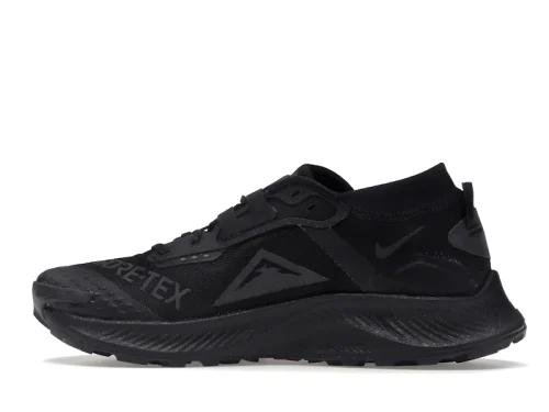 Nike Pegasus Trail 3 Gore-Tex Black Dark Smoke Grey