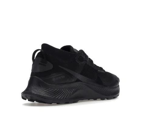 Nike Pegasus Trail 3 Gore-Tex Black Dark Smoke Grey