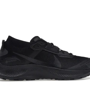 Nike Pegasus Trail 3 Gore-Tex Black Dark Smoke Grey