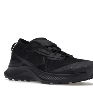Nike Pegasus Trail 3 Gore-Tex Black Dark Smoke Grey