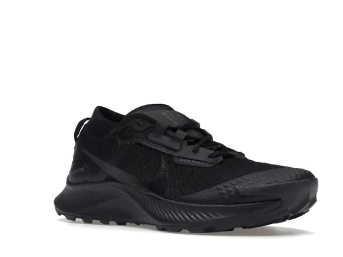 Nike Pegasus Trail 3 Gore-Tex Black Dark Smoke Grey