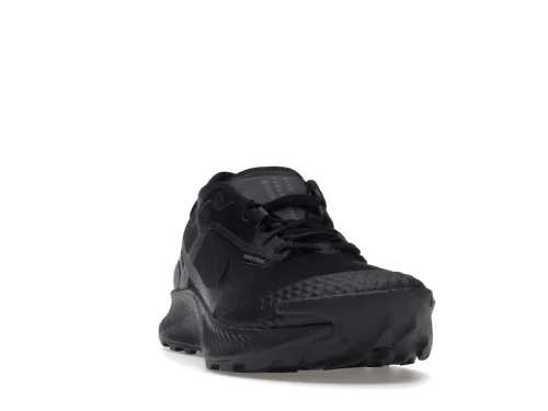 Nike Pegasus Trail 3 Gore-Tex Black Dark Smoke Grey